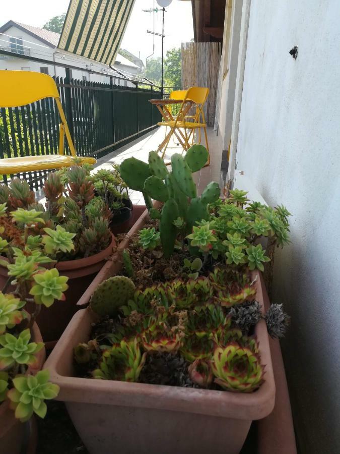 Blanche Apartment Agerola Luaran gambar